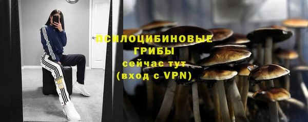 ешки Иннополис