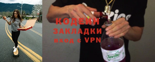 ешки Иннополис