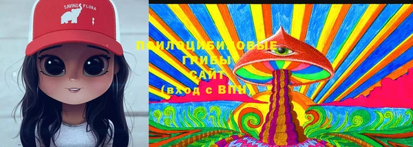 дживик Инсар