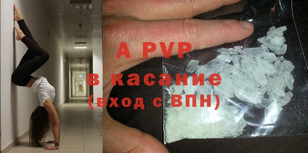 PSILOCYBIN Каменск-Шахтинский