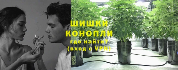 ешки Иннополис