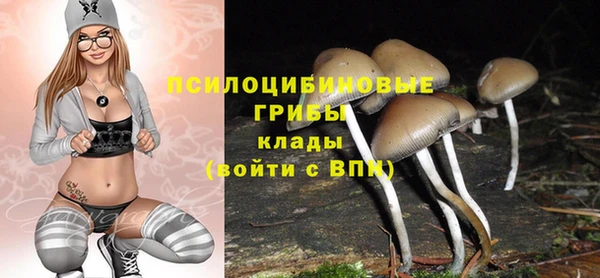 гидропоника Инта