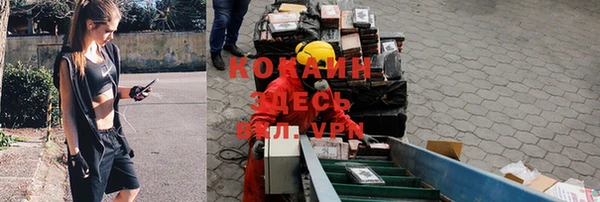 дживик Инсар