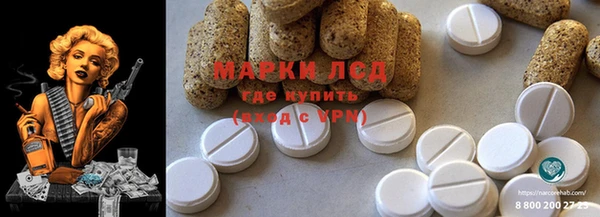 дживик Инсар