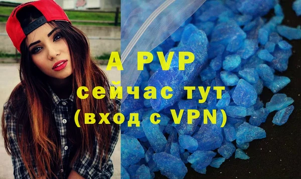 ешки Иннополис