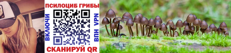 Псилоцибиновые грибы MAGIC MUSHROOMS  наркота  Лениногорск 