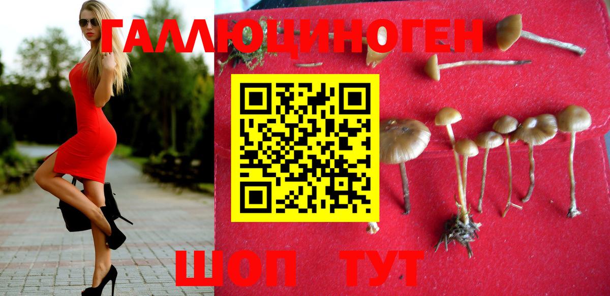 Лениногорск  Псилоцибиновые грибы Magic Shrooms  Вход с VPN 